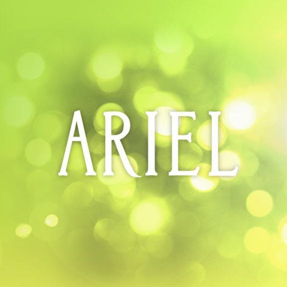 Ariel Vineyards Website Design