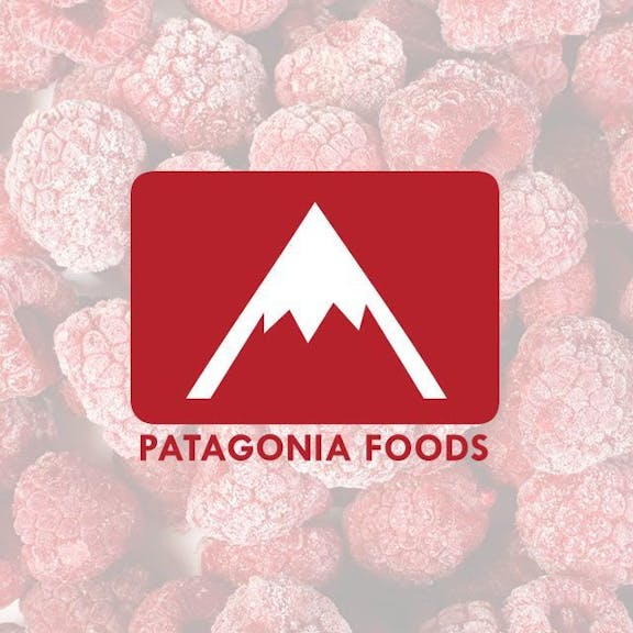 Patagonia Foods Website Design