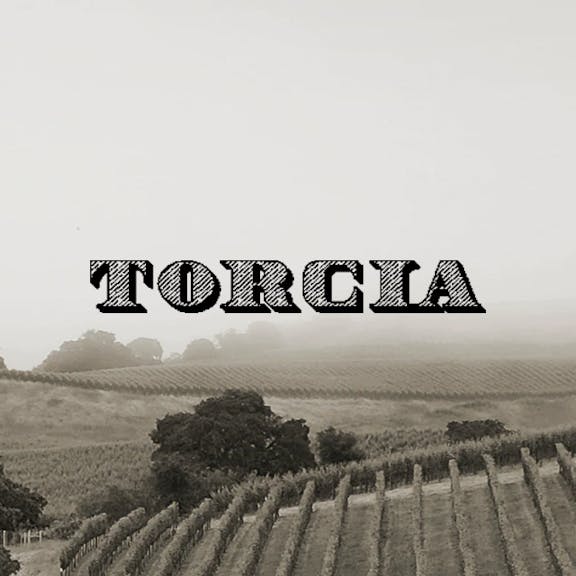 Torcia Wines Website Design