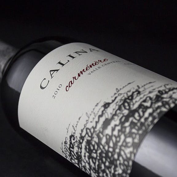 Calina Wine Label Design
