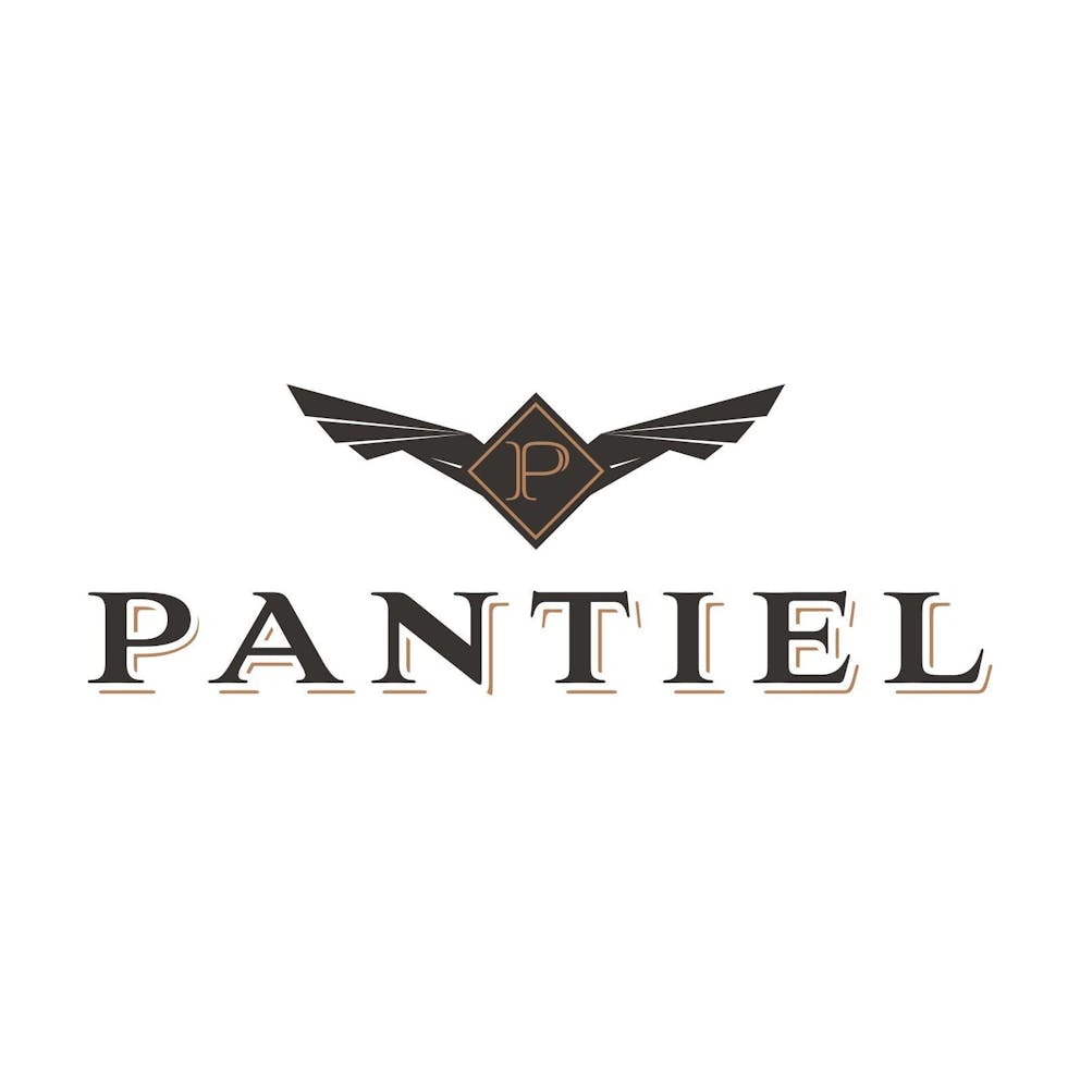 Pantiel Logo Brand Design